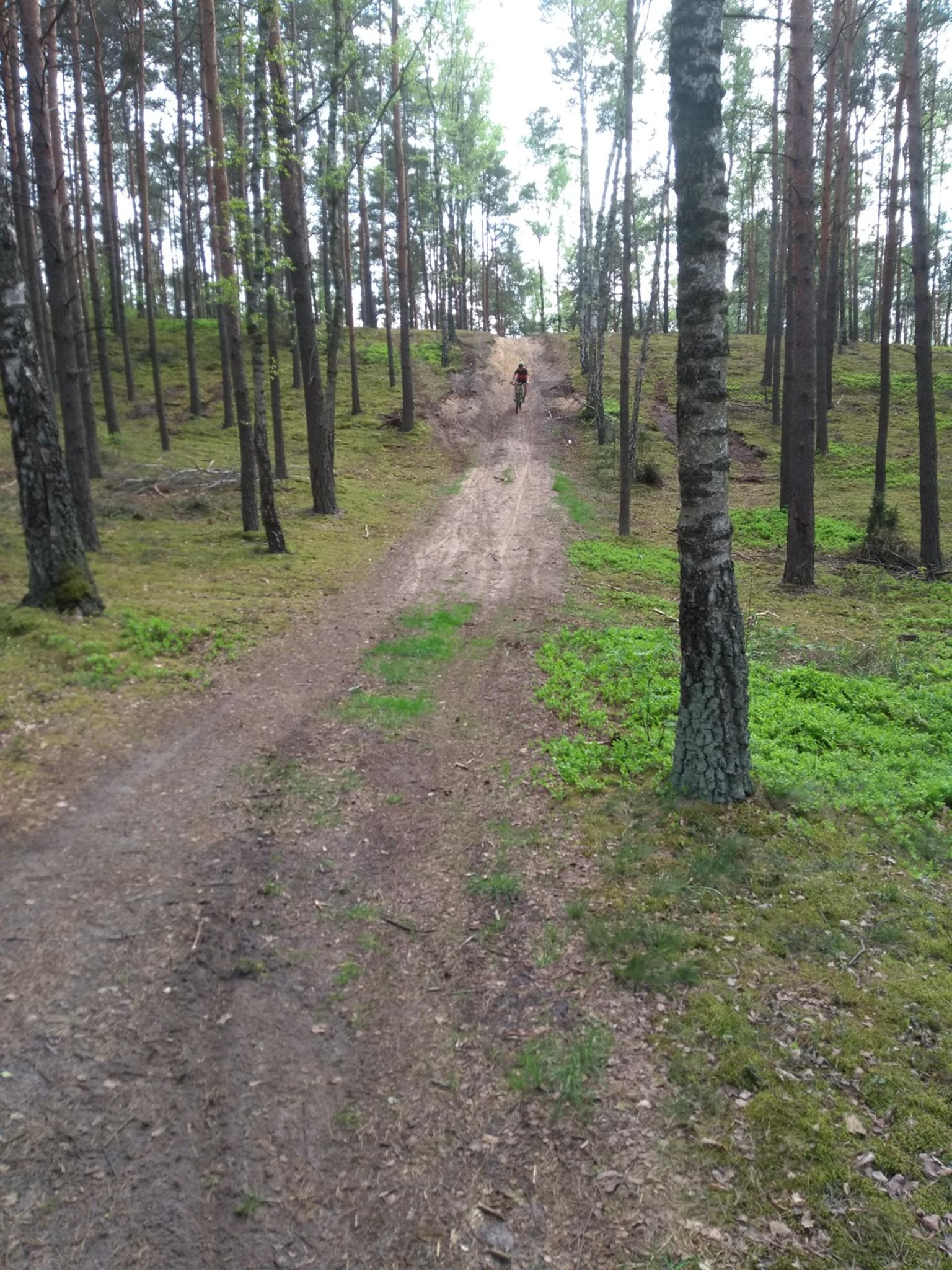 Zjazd na segmencie For Me